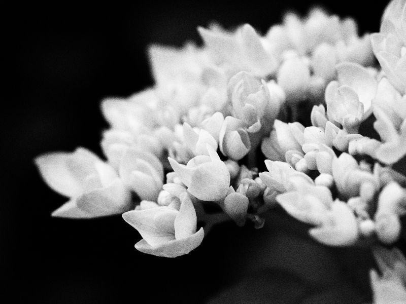100530_004.jpg