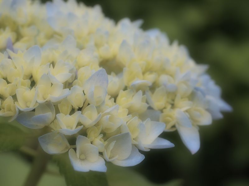 100530_005.jpg