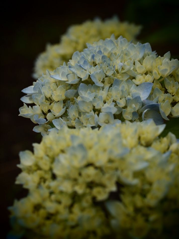 100530_006.jpg