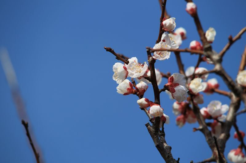 110320_0002.jpg