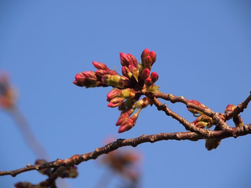 110328_0007.jpg