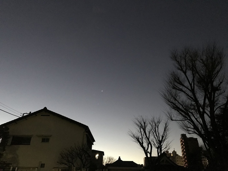 2019-01-19 06.12.52.jpg