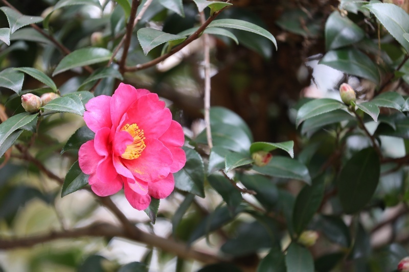 5D4_2813.jpg