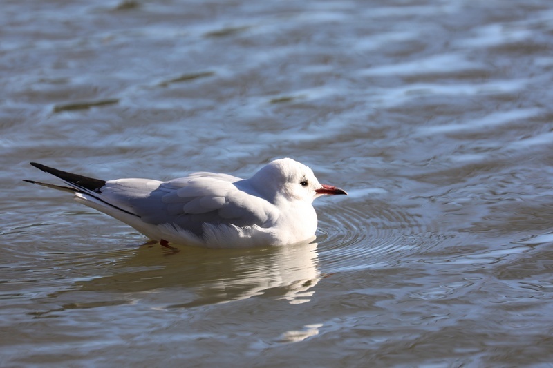 5D4_3471.jpg
