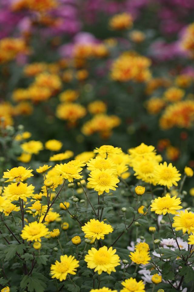 7J4Z8674.jpg