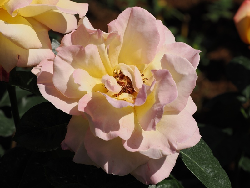 OM022340.jpg