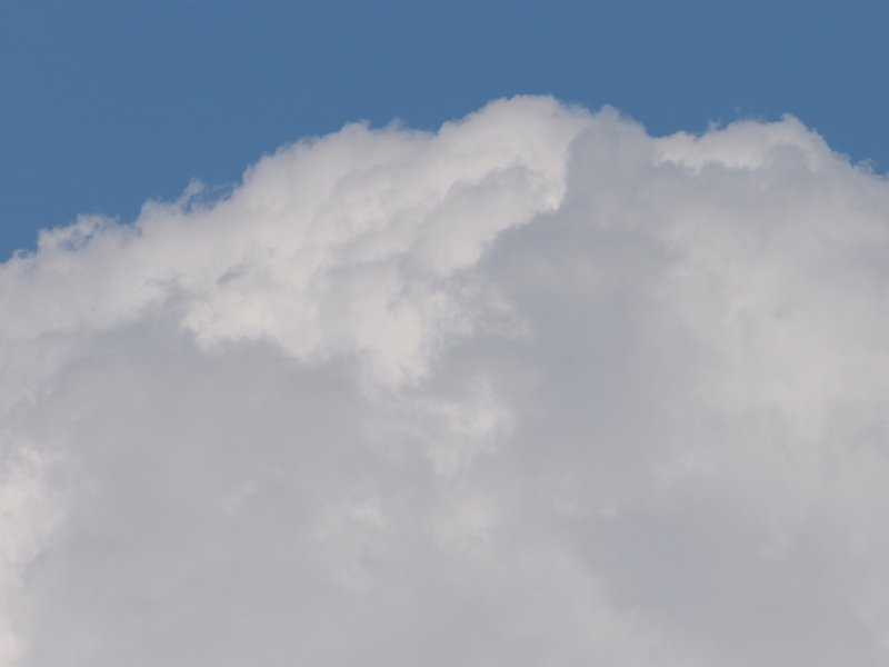 OM023550.jpg