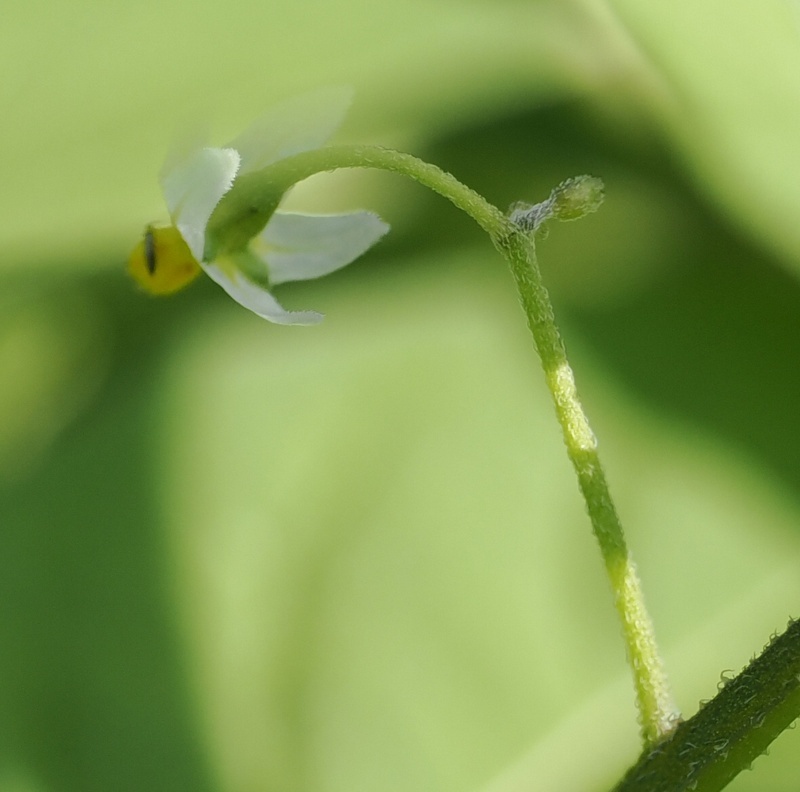 OM023552.jpg